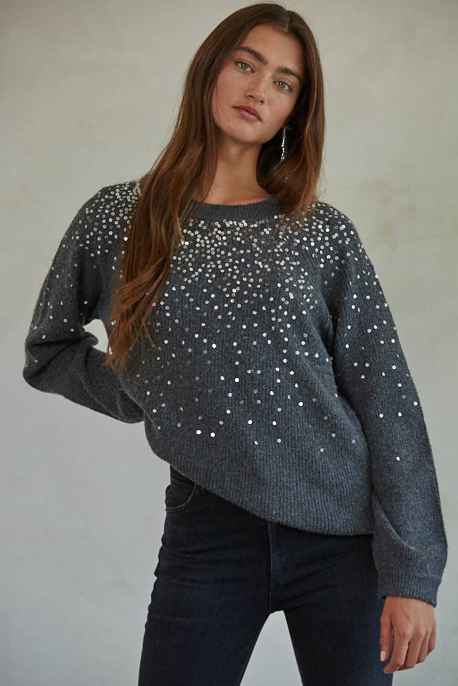 Sequin Detail Sweater